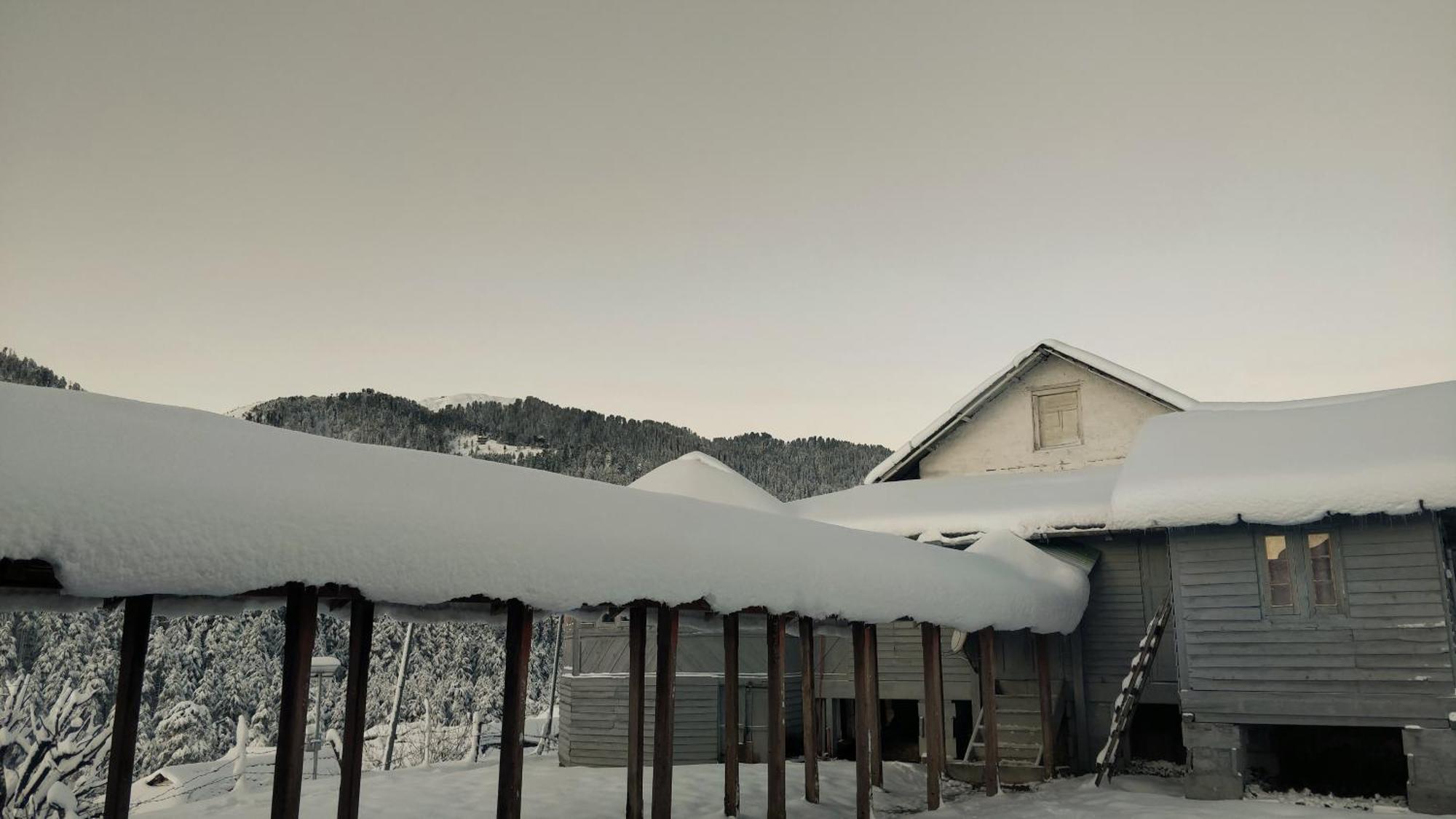 Black Bear Cottage Khajjiar 外观 照片