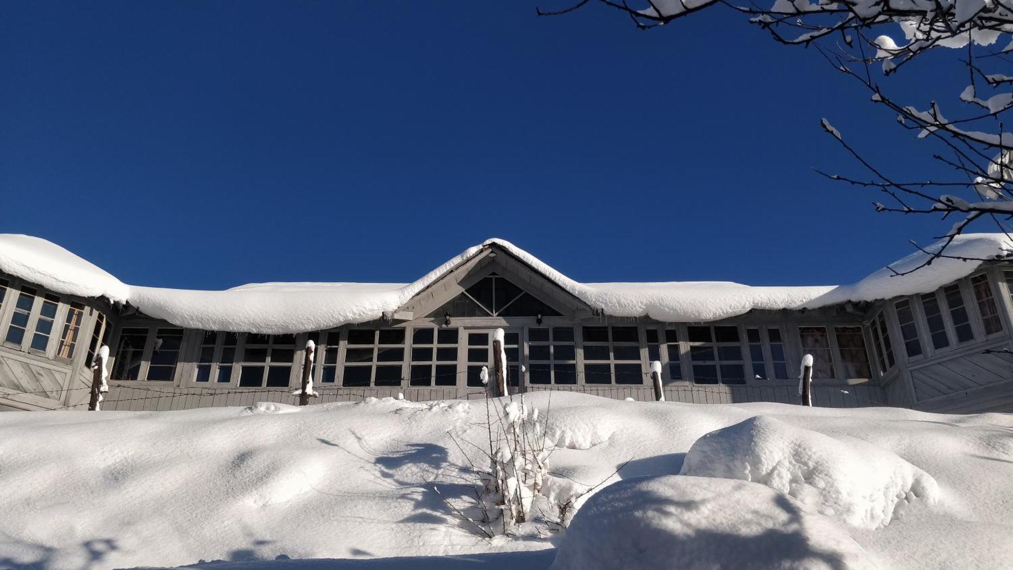 Black Bear Cottage Khajjiar 外观 照片