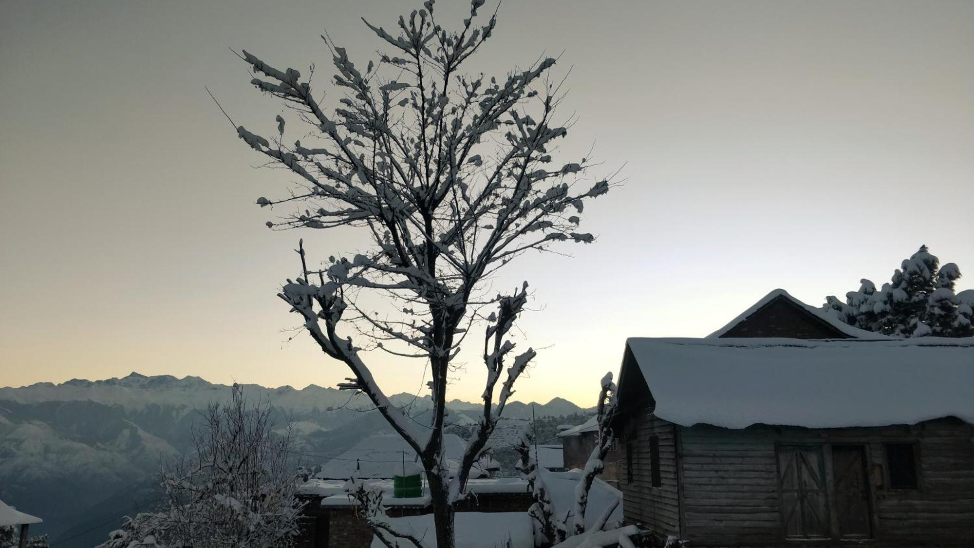 Black Bear Cottage Khajjiar 外观 照片