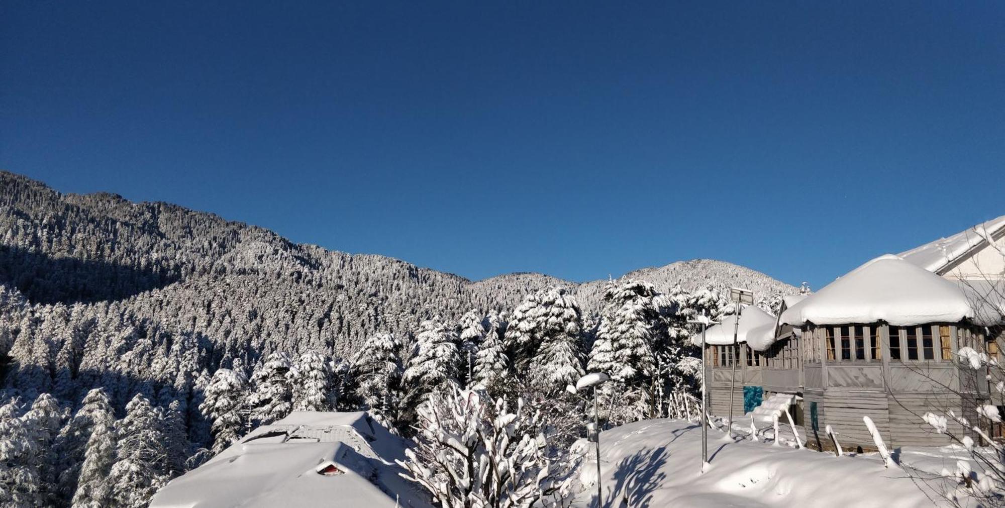 Black Bear Cottage Khajjiar 外观 照片
