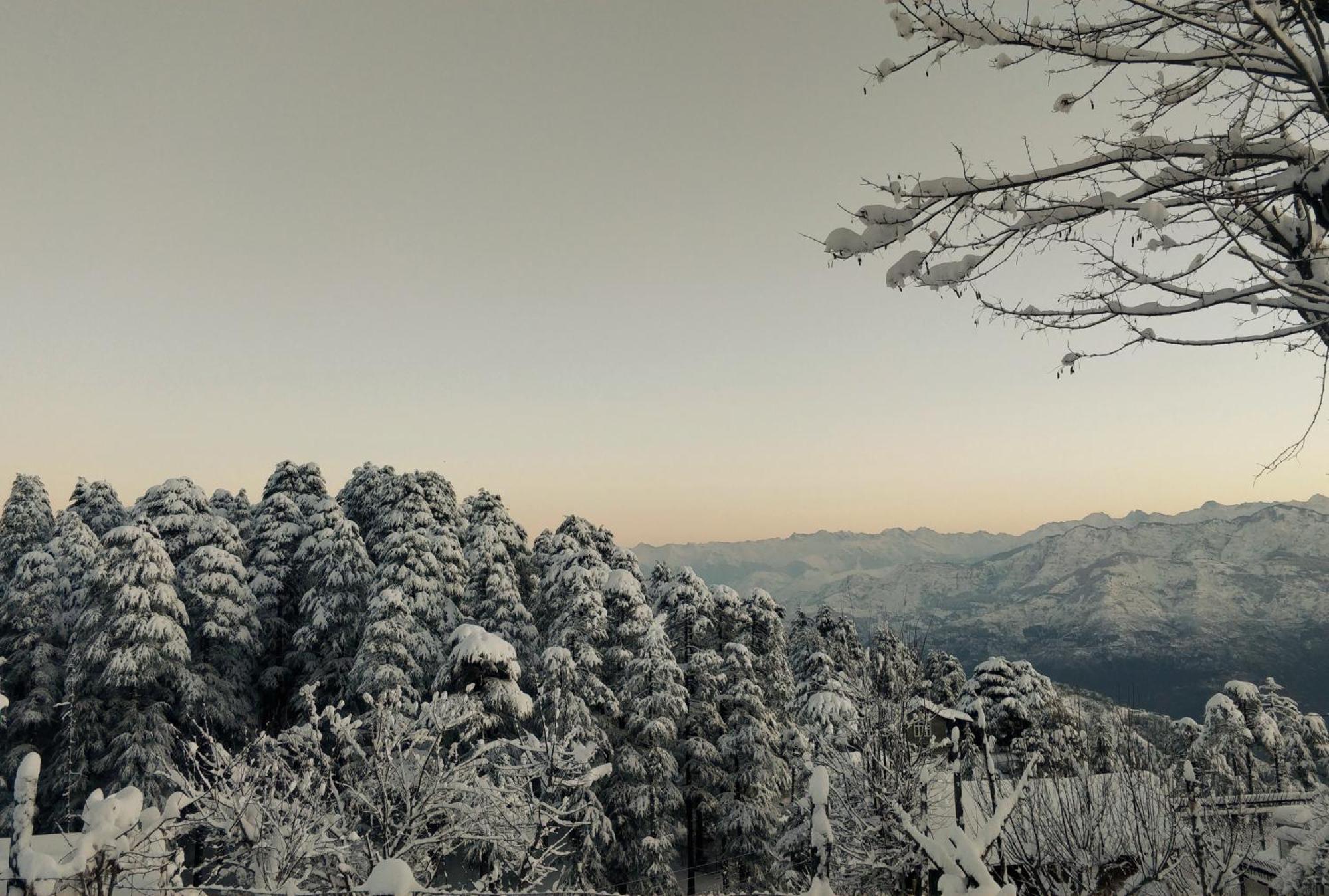 Black Bear Cottage Khajjiar 外观 照片
