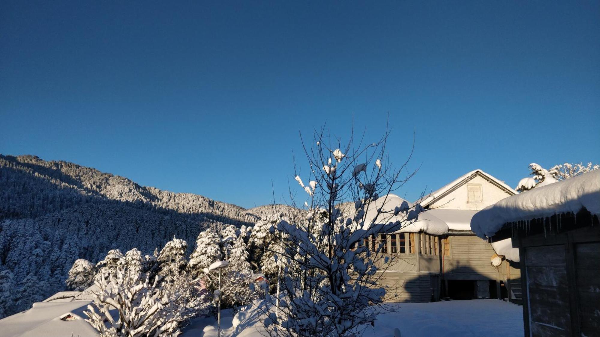 Black Bear Cottage Khajjiar 外观 照片